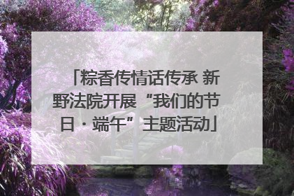 粽香传情话传承 新野法院开展“我们的节日・端午”主题活动