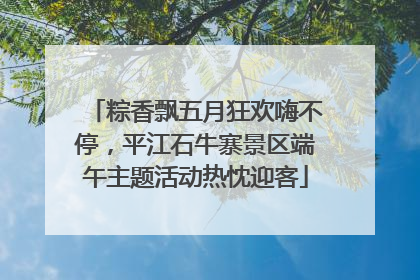 粽香飘五月狂欢嗨不停，平江石牛寨景区端午主题活动热忱迎客