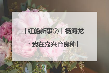 红船新事⑦丨杨海龙：我在嘉兴育良种