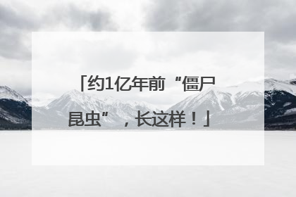 约1亿年前“僵尸昆虫”，长这样！