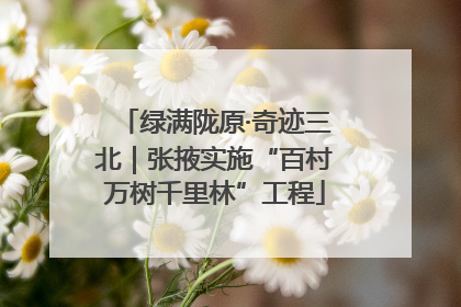 绿满陇原·奇迹三北｜张掖实施“百村万树千里林”工程