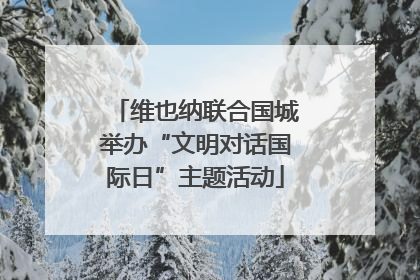 维也纳联合国城举办“文明对话国际日”主题活动