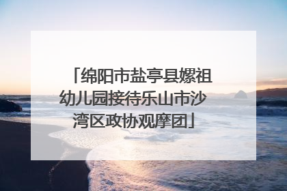 绵阳市盐亭县嫘祖幼儿园接待乐山市沙湾区政协观摩团