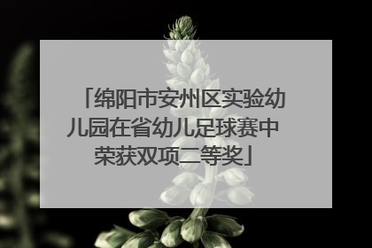 绵阳市安州区实验幼儿园在省幼儿足球赛中荣获双项二等奖