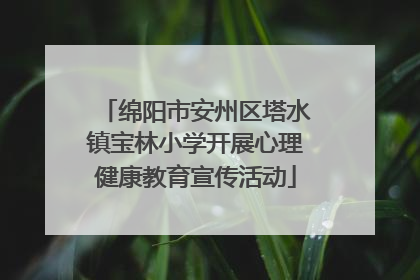 绵阳市安州区塔水镇宝林小学开展心理健康教育宣传活动