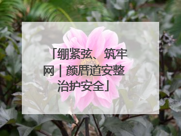 绷紧弦、筑牢网｜颜厝道安整治护安全