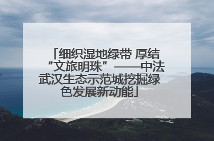 细织湿地绿带 厚结“文旅明珠”——中法武汉生态示范城挖掘绿色发展新动能