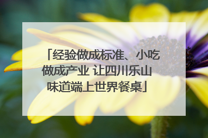 经验做成标准、小吃做成产业 让四川乐山味道端上世界餐桌
