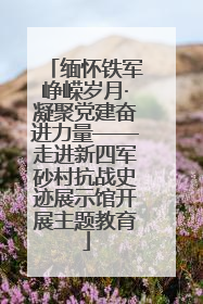 缅怀铁军峥嵘岁月·凝聚党建奋进力量——走进新四军砂村抗战史迹展示馆开展主题教育