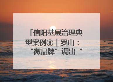 信阳基层治理典型案例⑧｜罗山：“微品牌”调出“大和谐”