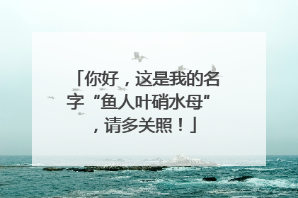 你好，这是我的名字“鱼人叶硝水母”，请多关照！