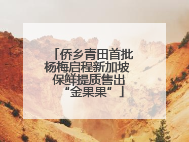 侨乡青田首批杨梅启程新加坡 保鲜提质售出“金果果”