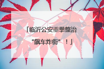 临沂公安重拳整治“飙车炸街”！