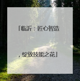 临沂：匠心智造，绽放技能之花