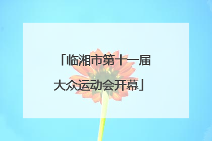 临湘市第十一届大众运动会开幕