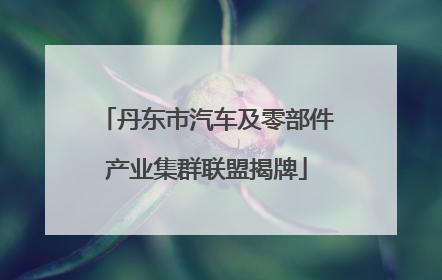 丹东市汽车及零部件产业集群联盟揭牌