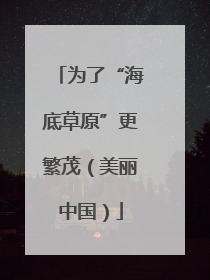 为了“海底草原”更繁茂（美丽中国）