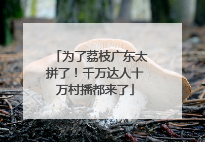 为了荔枝广东太拼了！千万达人十万村播都来了