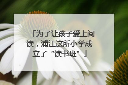 为了让孩子爱上阅读，浦江这所小学成立了“读书班”