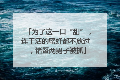 为了这一口“甜”，连干活的蜜蜂都不放过，诸暨两男子被抓