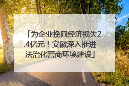 为企业挽回经济损失2.4亿元！安徽深入推进法治化营商环境建设
