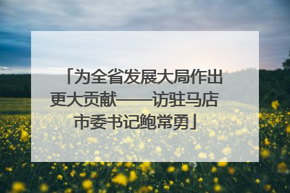 为全省发展大局作出更大贡献——访驻马店市委书记鲍常勇