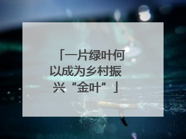 一片绿叶何以成为乡村振兴“金叶”