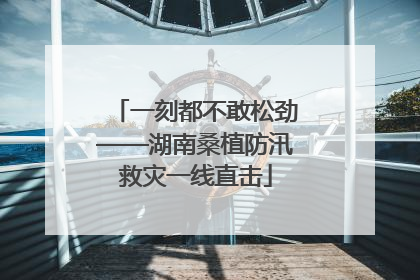 一刻都不敢松劲——湖南桑植防汛救灾一线直击