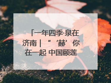 一年四季·泉在济南｜“‘赫’你在一起 中国颐莲喷雾节”盛大开启 共赴水润之约