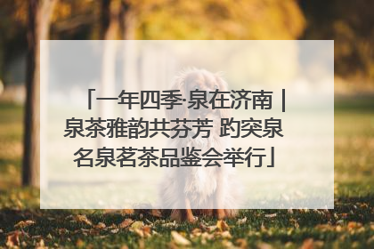 一年四季·泉在济南｜泉茶雅韵共芬芳 趵突泉名泉茗茶品鉴会举行