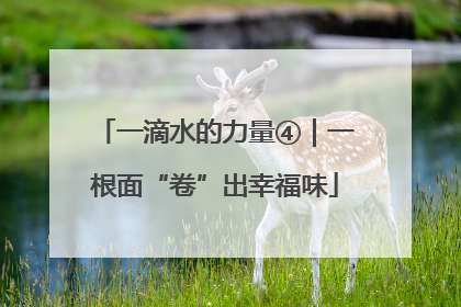 一滴水的力量④｜一根面“卷”出幸福味