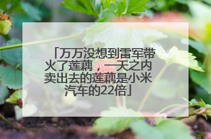万万没想到雷军带火了莲藕，一天之内卖出去的莲藕是小米汽车的22倍