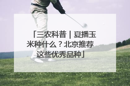 三农科普｜夏播玉米种什么？北京推荐这些优秀品种