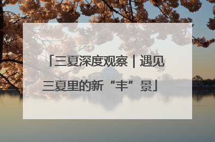 三夏深度观察｜遇见三夏里的新“丰”景