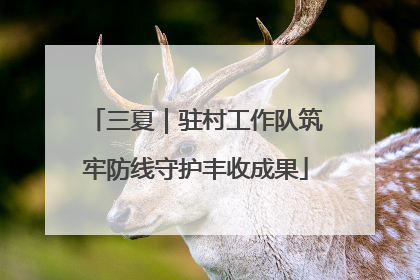 三夏｜驻村工作队筑牢防线守护丰收成果