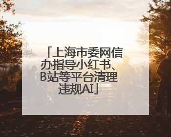 上海市委网信办指导小红书、B站等平台清理违规AI
