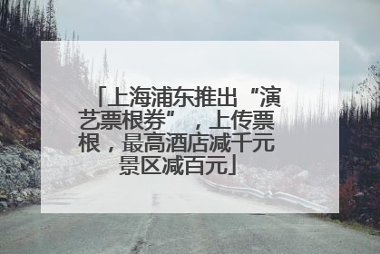 上海浦东推出“演艺票根券”，上传票根，最高酒店减千元景区减百元