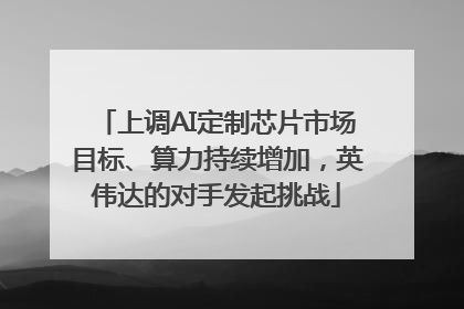 上调AI定制芯片市场目标、算力持续增加，英伟达的对手发起挑战