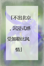 不出北京，沉浸式感受加勒比风情