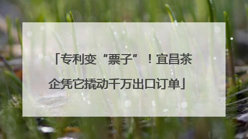 专利变“票子”！宜昌茶企凭它撬动千万出口订单