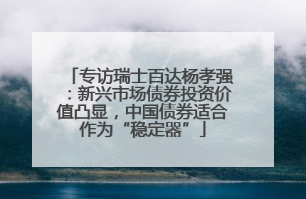 专访瑞士百达杨孝强：新兴市场债券投资价值凸显，中国债券适合作为“稳定器”