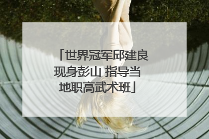 世界冠军邱建良现身彭山 指导当地职高武术班