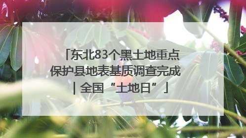 东北83个黑土地重点保护县地表基质调查完成｜全国“土地日”