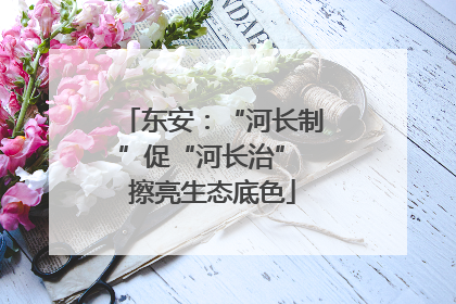 东安：“河长制”促“河长治” 擦亮生态底色