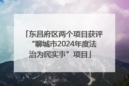 东昌府区两个项目获评“聊城市2024年度法治为民实事”项目