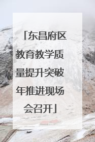 东昌府区教育教学质量提升突破年推进现场会召开