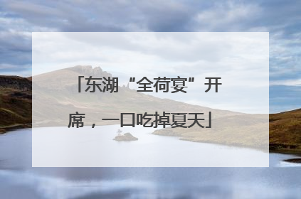 东湖“全荷宴”开席，一口吃掉夏天