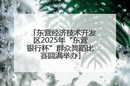 东营经济技术开发区2025年“东营银行杯”群众舞蹈比赛圆满举办