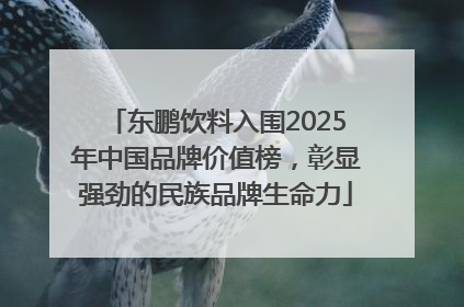 东鹏饮料入围2025年中国品牌价值榜，彰显强劲的民族品牌生命力