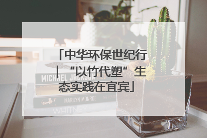 中华环保世纪行｜“以竹代塑”生态实践在宜宾
